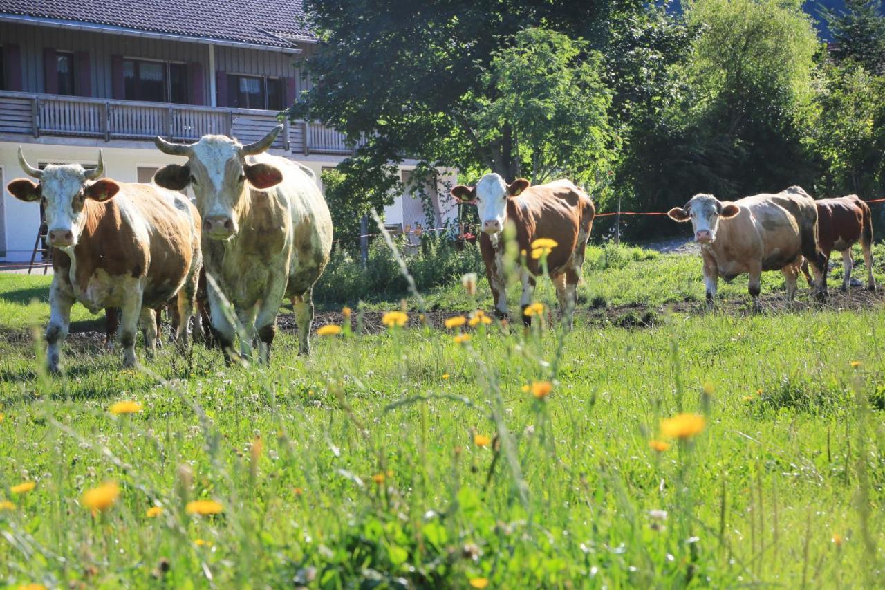 Vila Heutauer Hof Siegsdorf Exteriér fotografie