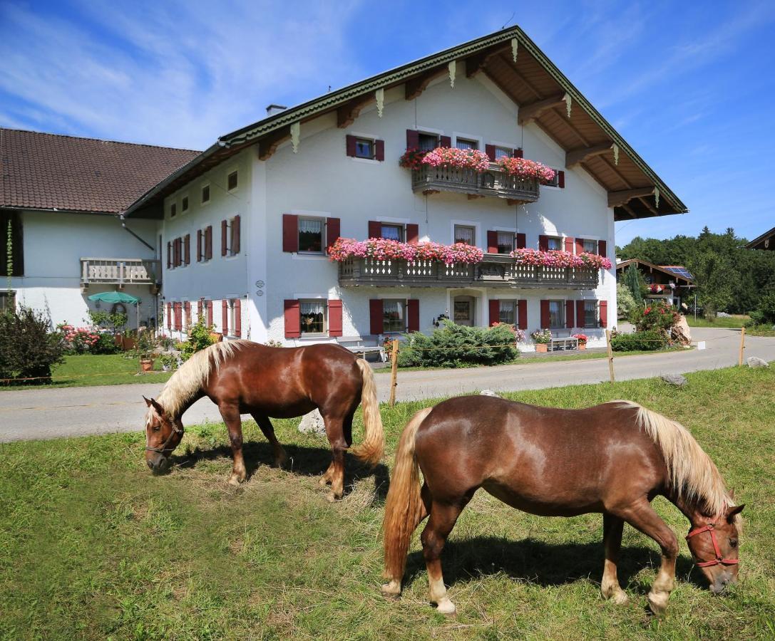 Vila Heutauer Hof Siegsdorf Exteriér fotografie